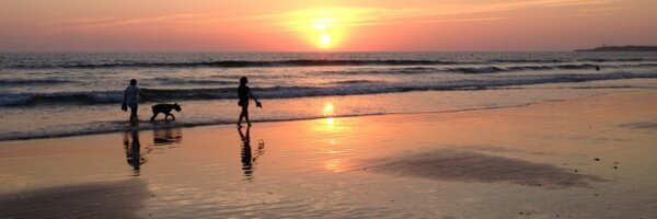 carlos_fraile Profile Banner