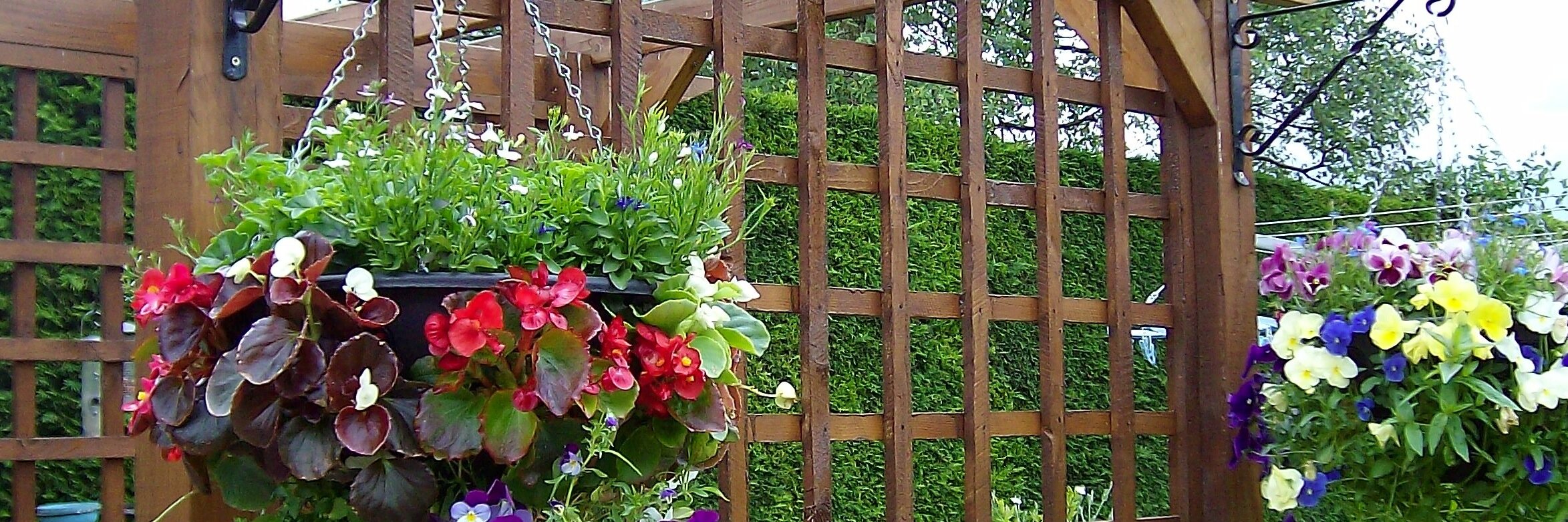 rackheath5's profile banner image