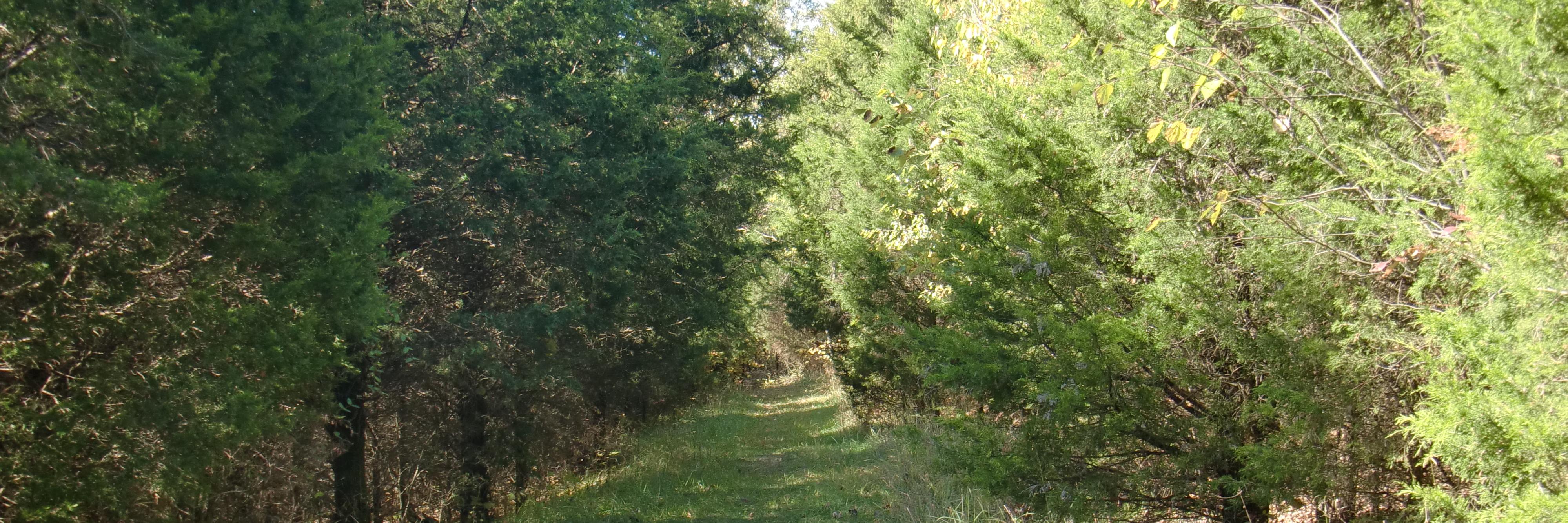 Oldham County Parks banner