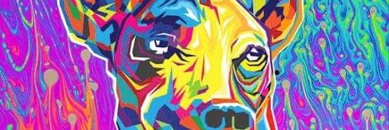 Naranjas128's profile banner image