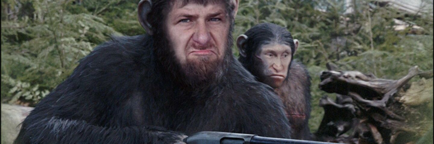 перемогаслав banner