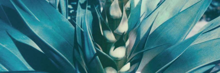 Jorge Gregori banner