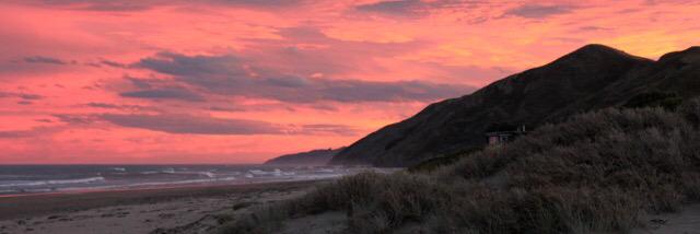 Anna-Louise Plowman banner