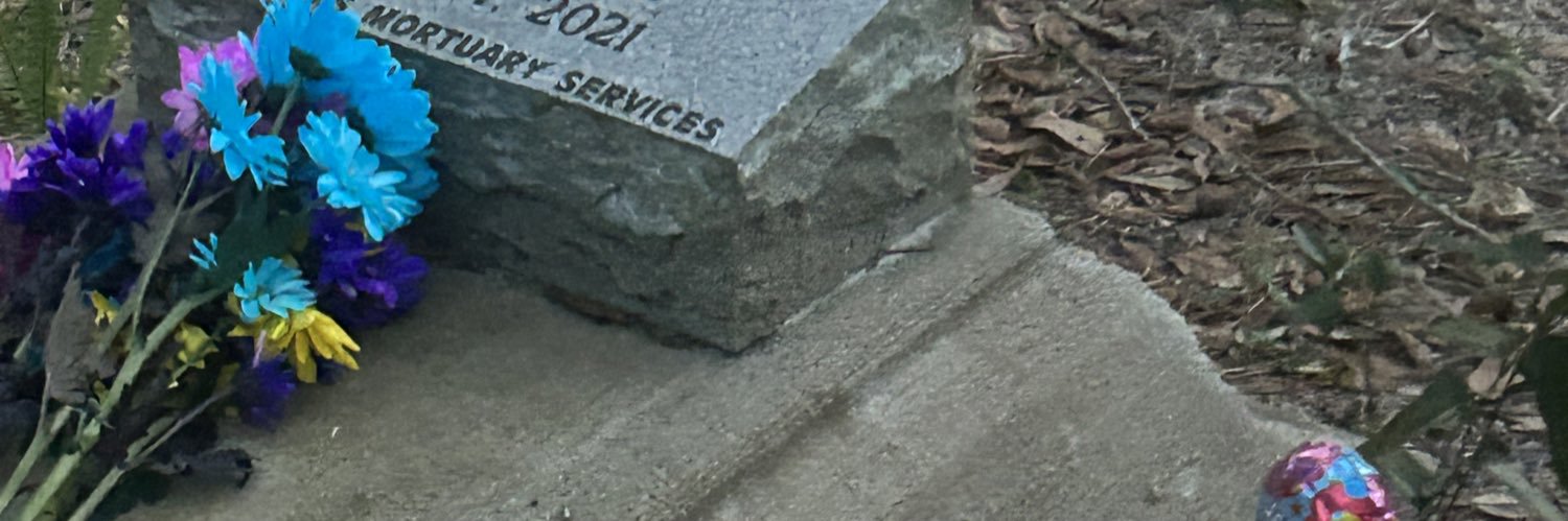 antjunya's profile banner image