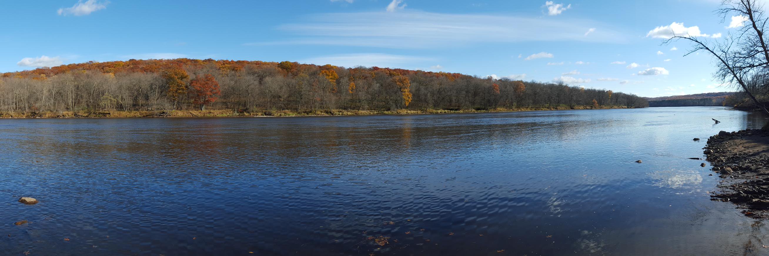 MarshallMullet's profile banner image