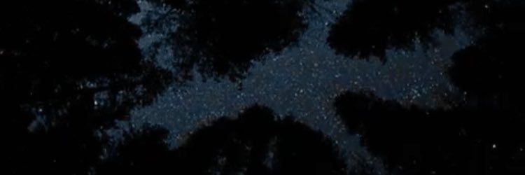albersar's profile banner image