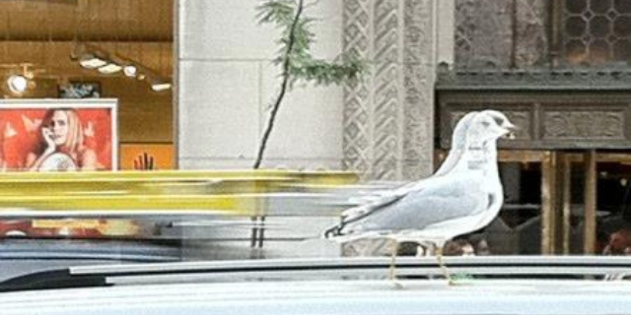 GeorgeMaros's profile banner image