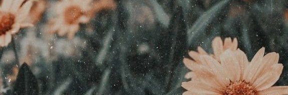 vegggetta's profile banner image