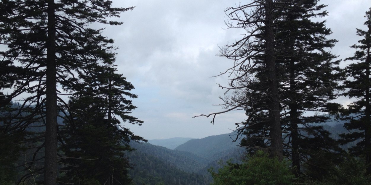 Katrina Simonsen banner