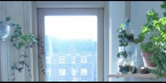 _cuntmuffin's profile banner image
