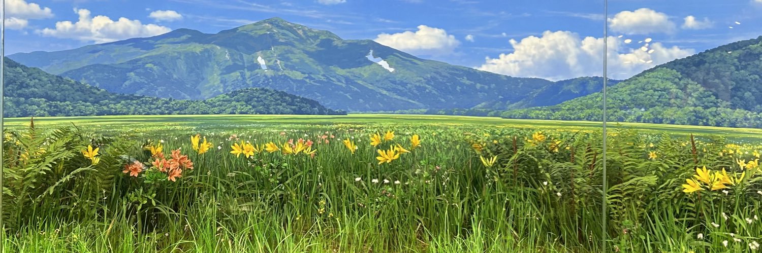 menihasa's profile banner image