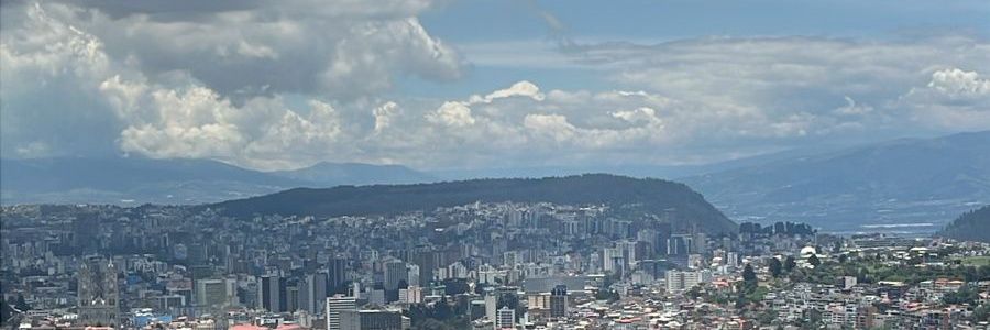 silvia morales banner