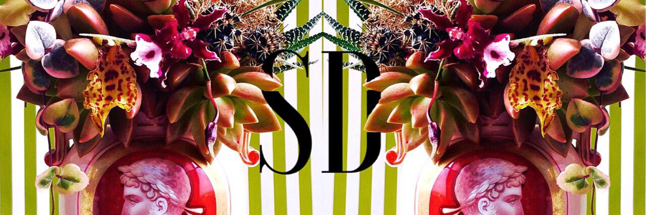 stevedavid0809's profile banner image