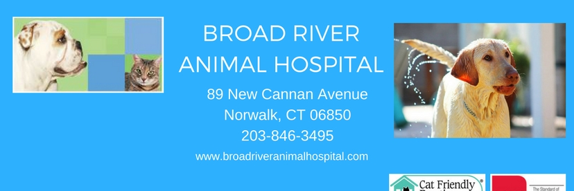 BroadRiverAH's profile banner image