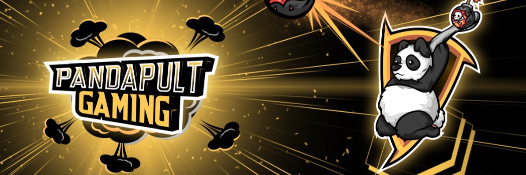 PandapultGaming's profile banner image
