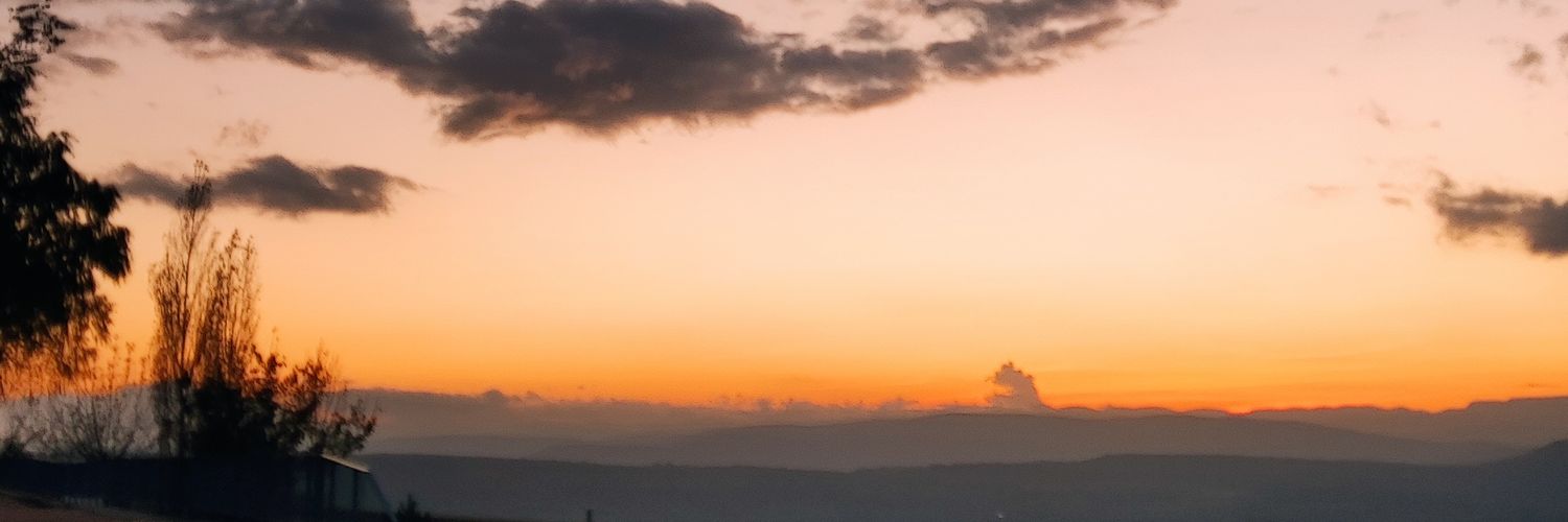 Mar Hernández Bernabeu banner