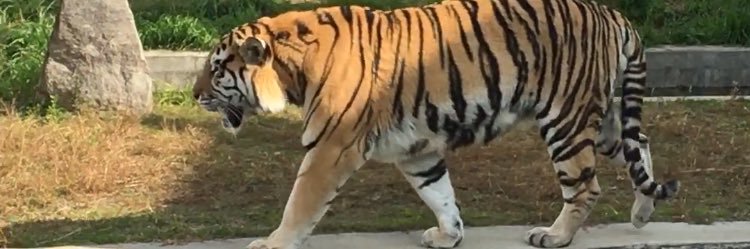 中山義紘【劇団Patch】 banner