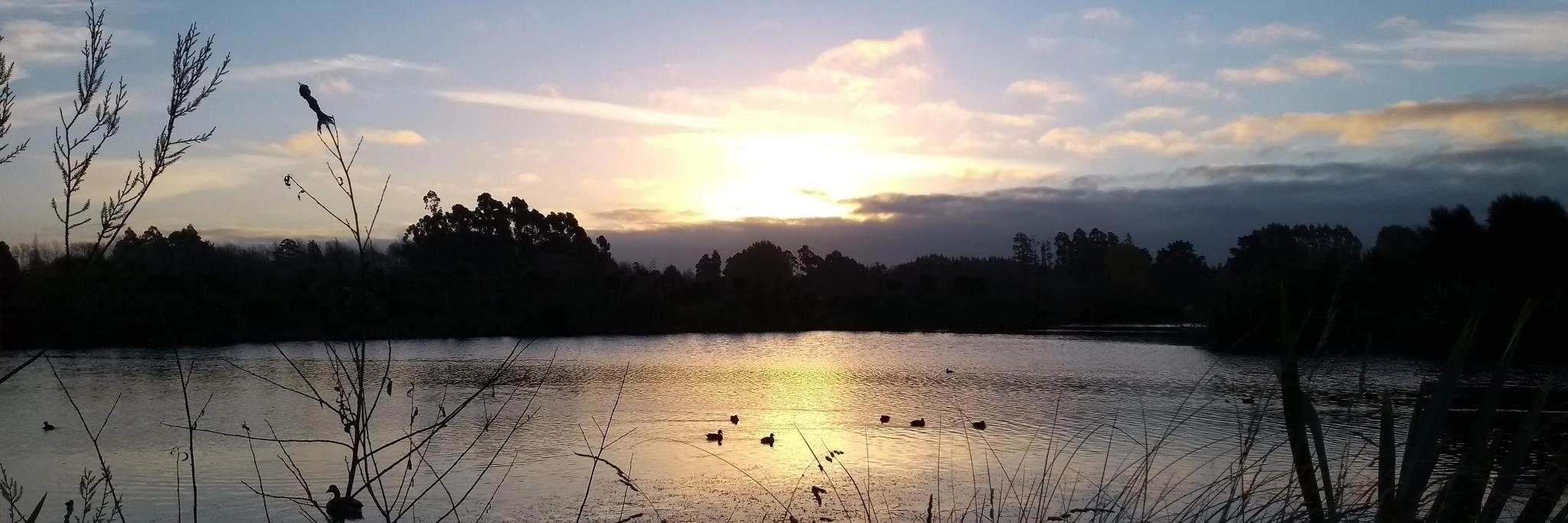 Lisa Holmes (Stanger) banner