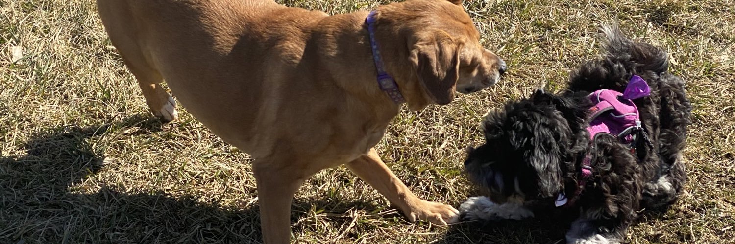 Matthew VanTryon banner