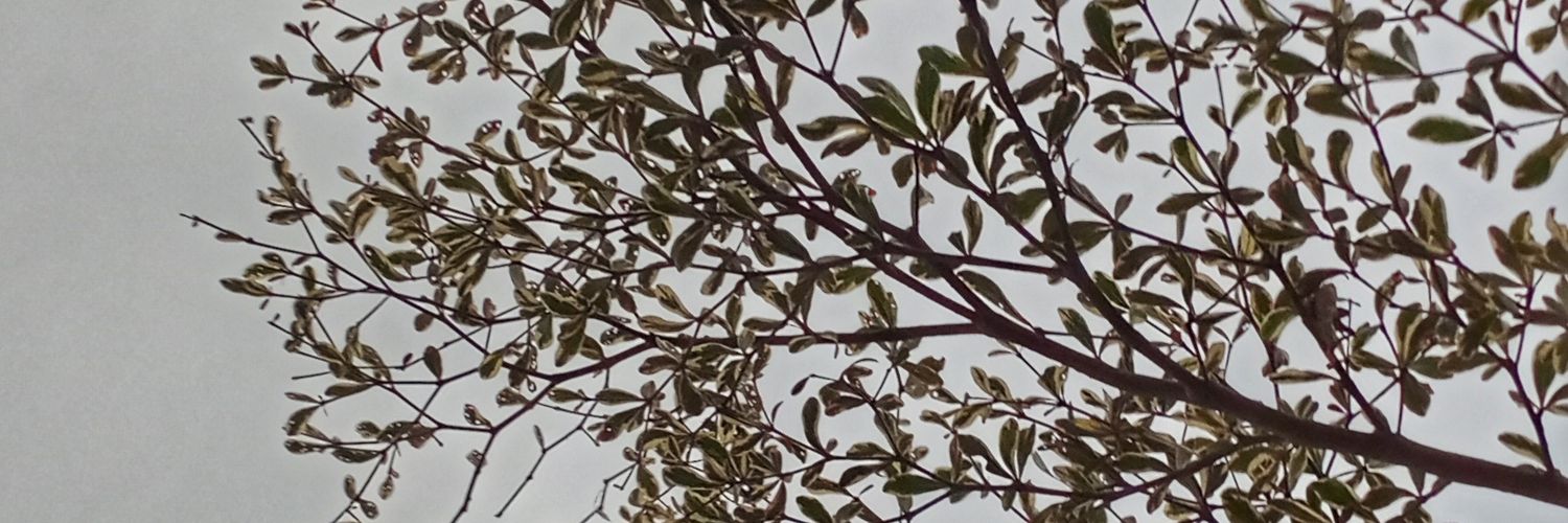 arga_anes's profile banner image