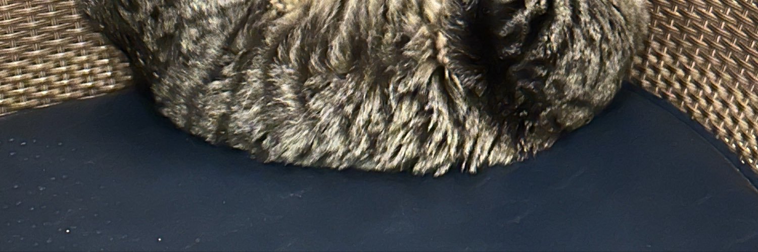 nada_se_leva's profile banner image