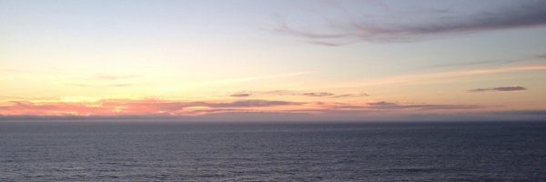 amichellerees Profile Banner