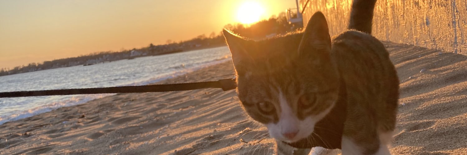 JosephConKarne's profile banner image
