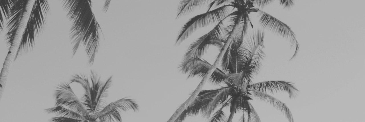 phetolordeo1976's profile banner image