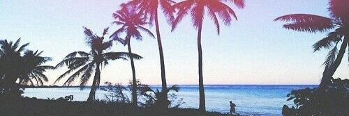 ericadeboer12's profile banner image