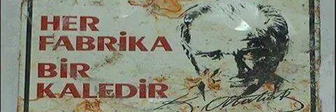 fibonaccitr's profile banner image