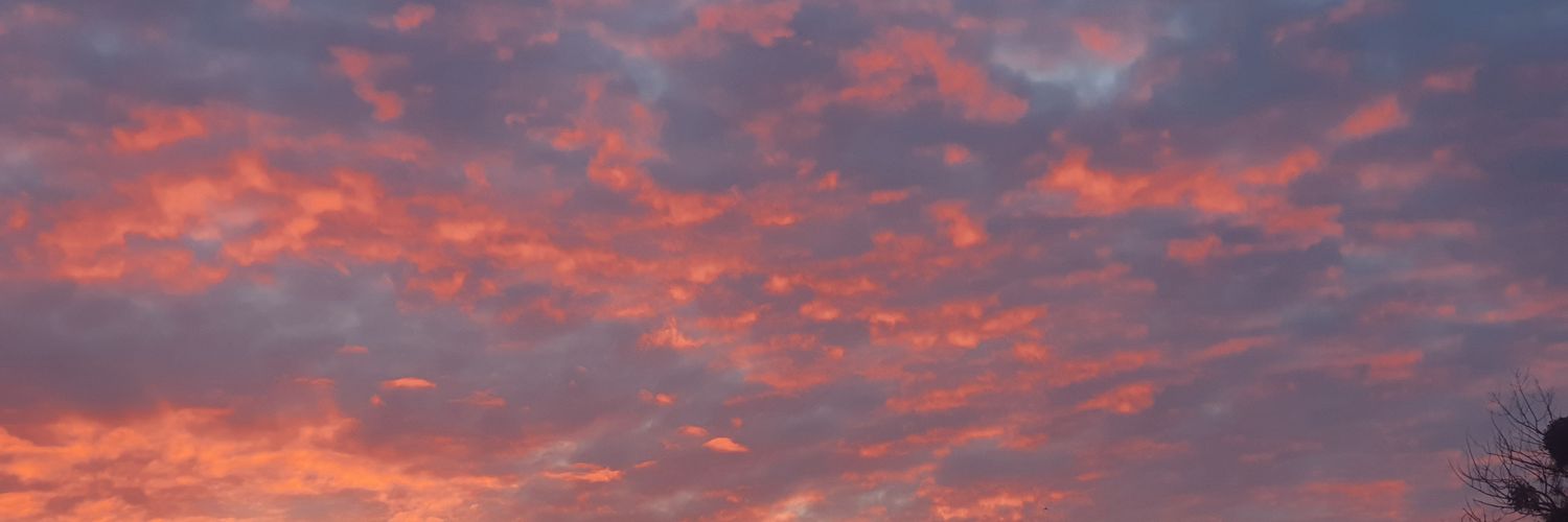 Paradoxyii's profile banner image