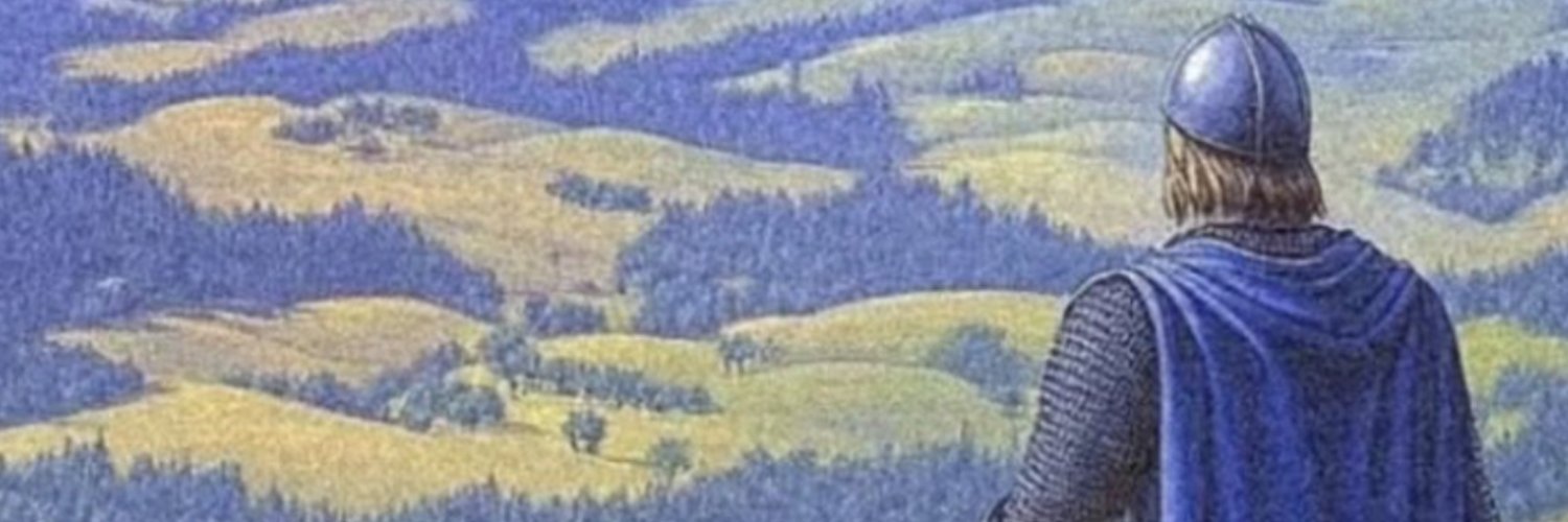 novus banner