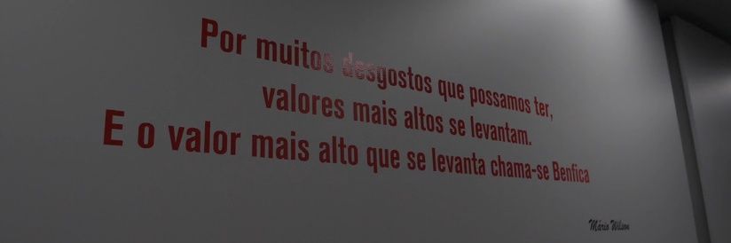 MCMJSS's profile banner image