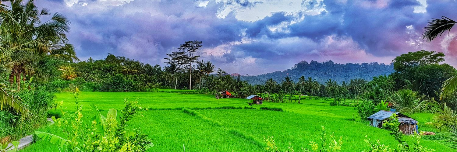 bangli46's profile banner image