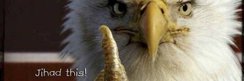 lisalecallie's profile banner image