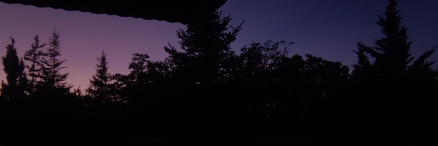 irmsatir's profile banner image