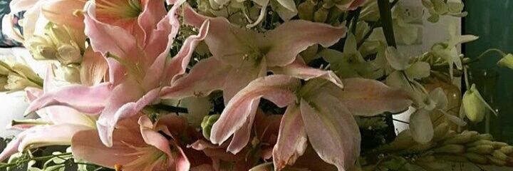 BenaimHajar's profile banner image