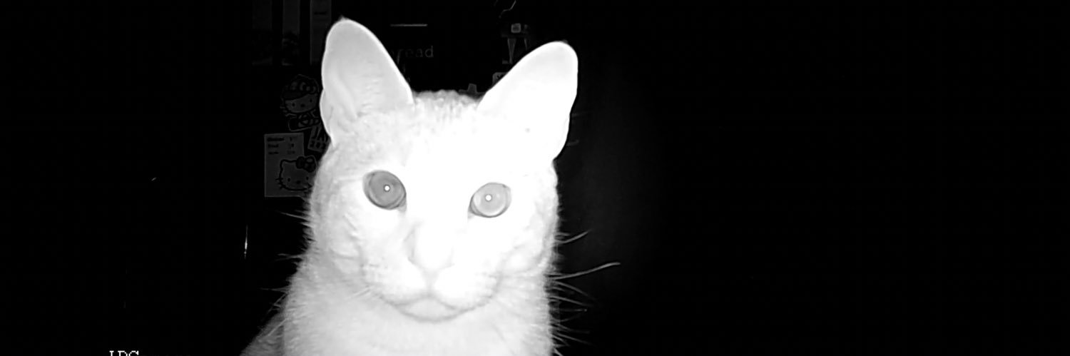 Adamharbsn's profile banner image
