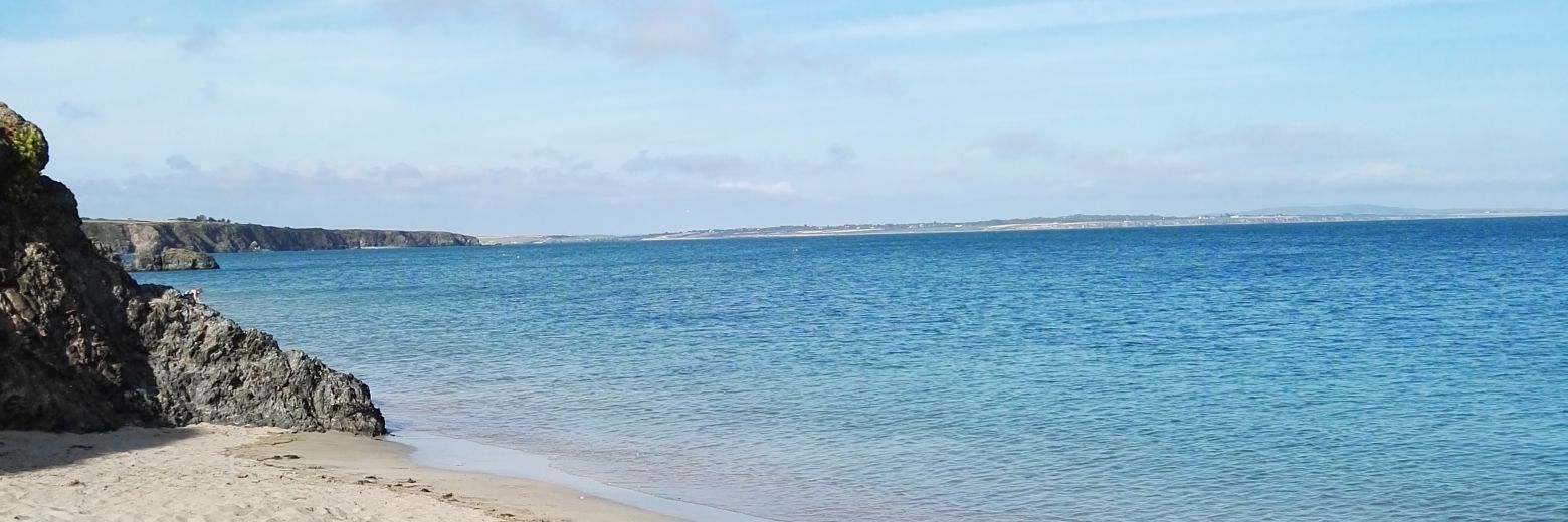 FawnShaw's profile banner image