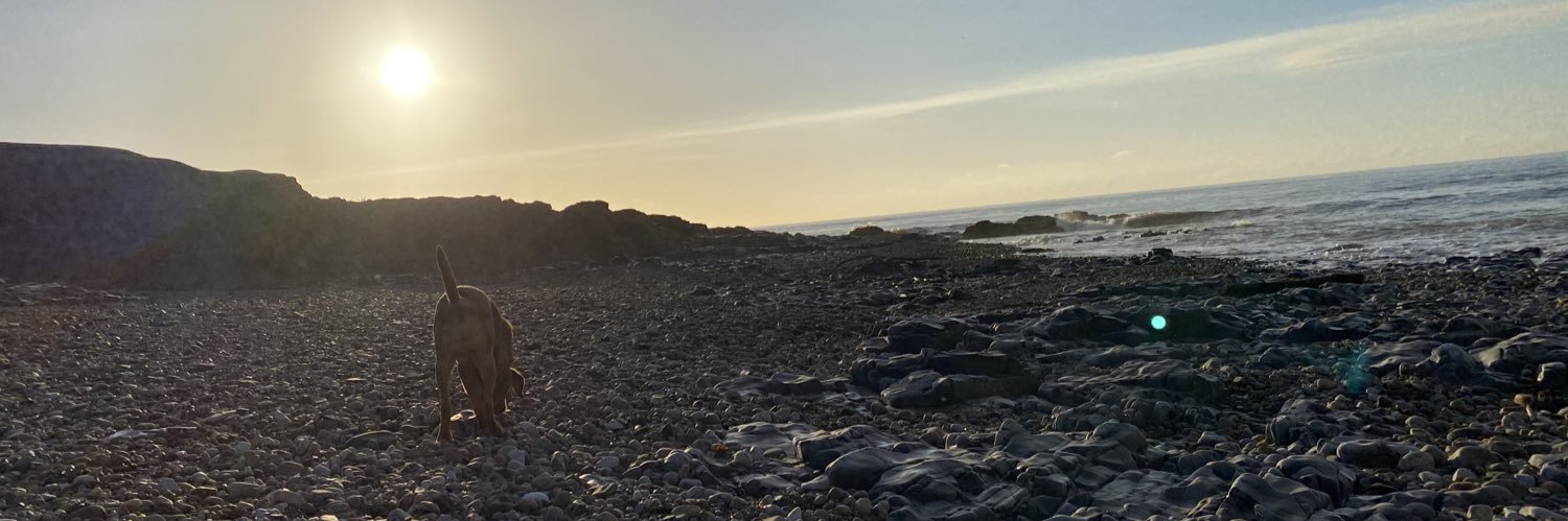 Popslw_'s profile banner image