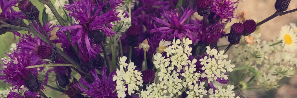 Sknicelyy's profile banner image