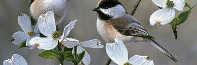 corry_arink's profile banner image