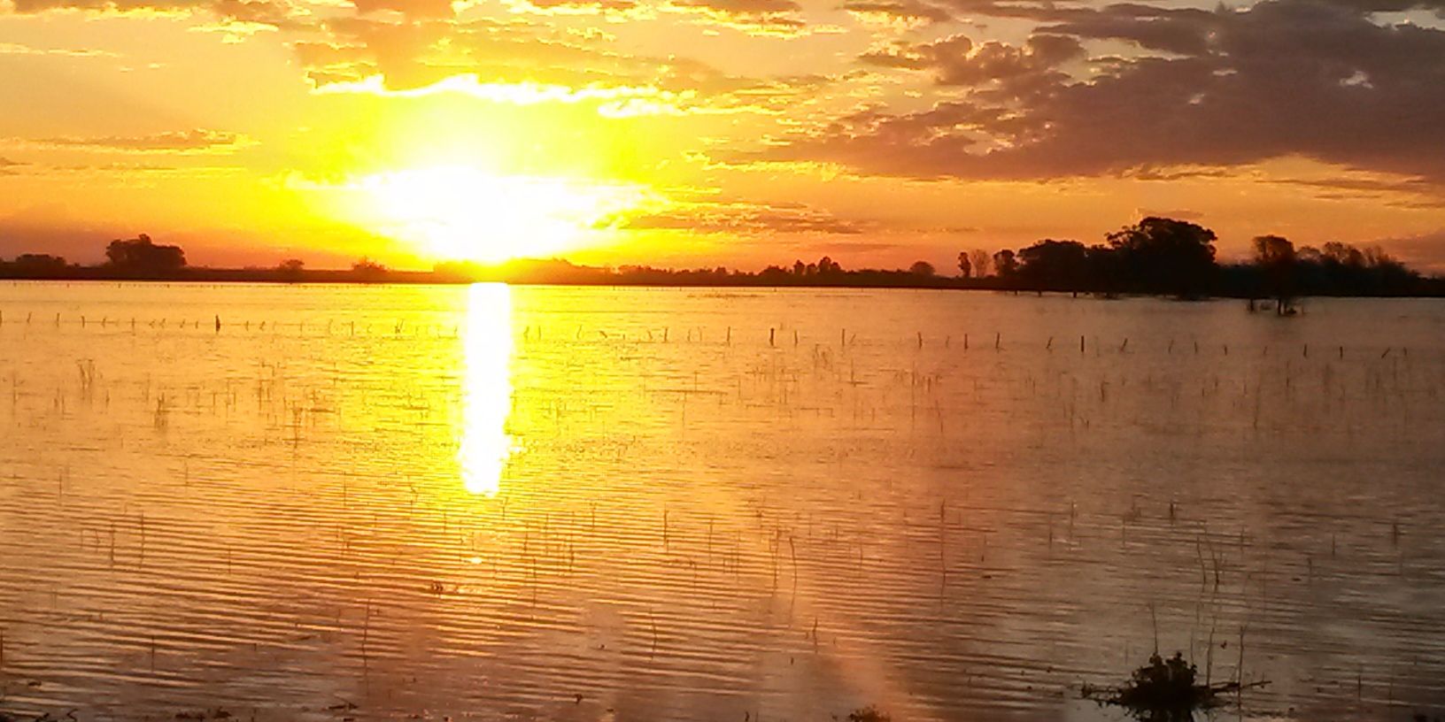lardaro's profile banner image
