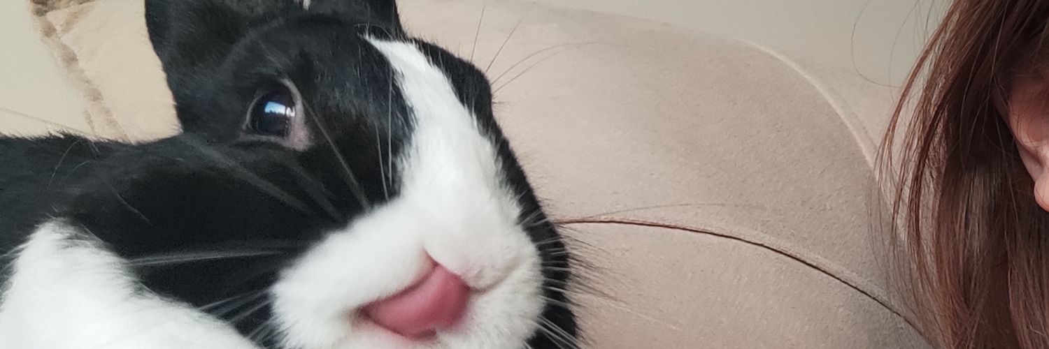 zuzucd's profile banner image