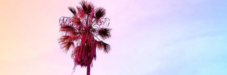 kt_will_'s profile banner image