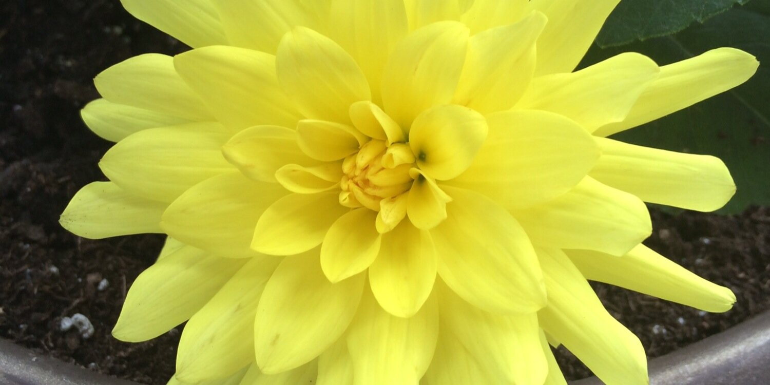 jana_nicolas's profile banner image