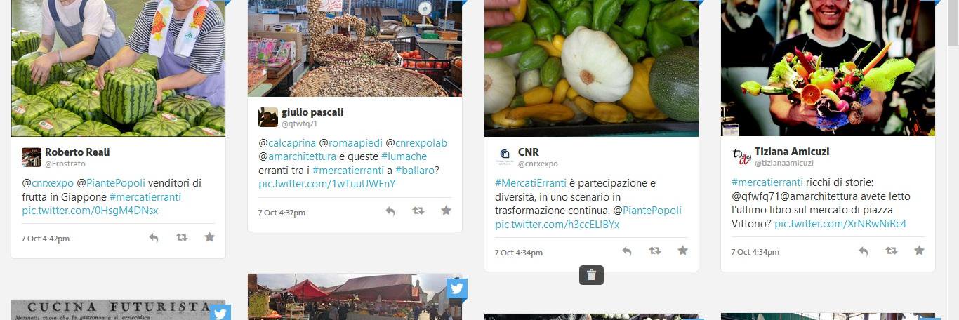 PiantePopoli's profile banner image