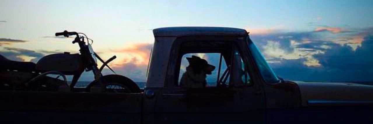 Biker Dog  ® banner