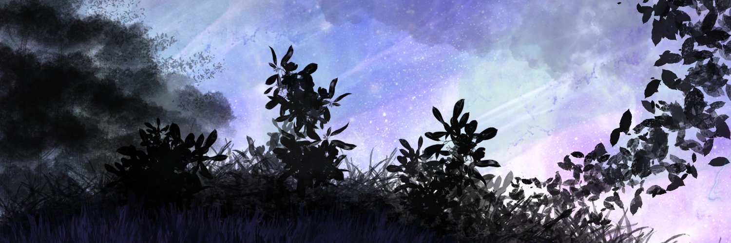 CNinja88's profile banner image