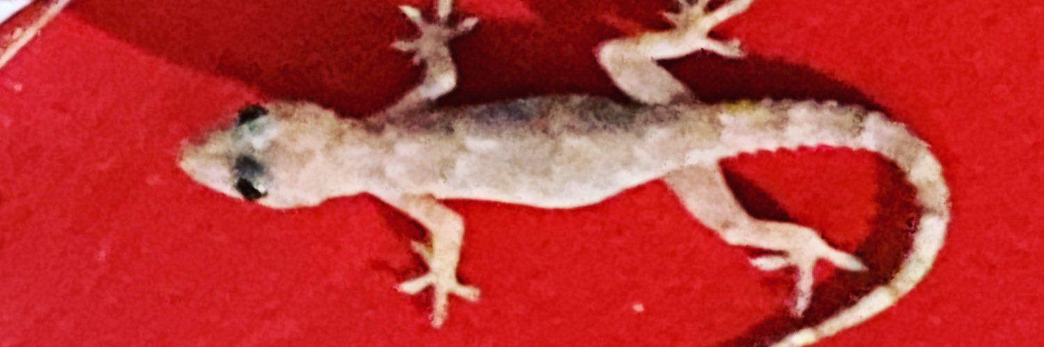 Gutas's profile banner image